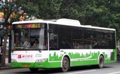 广州205路公交车路线