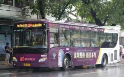 广州194路公交车路线