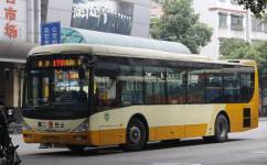 广州176路(2021年8月21日起暂停营运)公交车路线