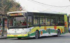 广州403路公交车路线