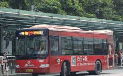 广州811路公交车路线
