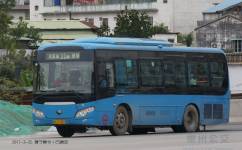 惠州11路公交车路线