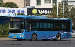惠州12路公交车路线