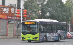 中山209路公交车路线