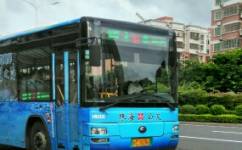 珠海8路公交车路线