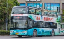 桂林11路公交车路线