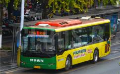 桂林10路公交车路线