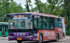 桂林18路公交车路线