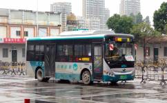 阳江5路公交车路线
