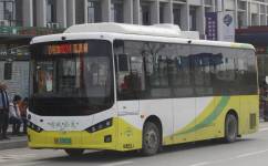 广州增城24路公交车路线