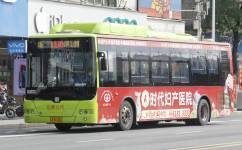 广州花10路公交车路线