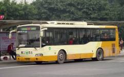 广州987路公交车路线