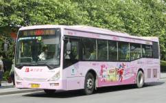 广州旅游公交3线公交车路线