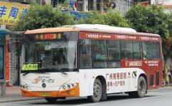 广州番142路公交车路线