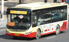 肇庆202路公交车路线