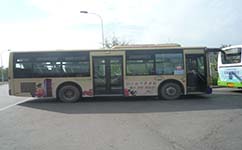 温州潘桥社区巴士公交车路线