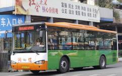 广州南65路公交车路线