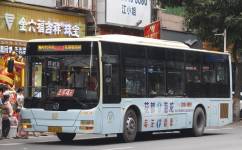 广州花62路公交车路线