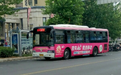 洛阳59路公交车路线