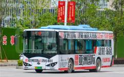 桂林81路公交车路线