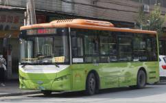 广州番101短线公交车路线