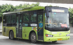 广州花24路公交车路线