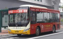 广州从806路公交车路线