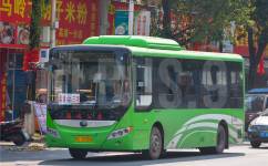 桂林荔浦旅游专线公交车路线