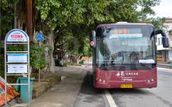 桂林9路竹江专线公交车路线