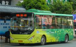 桂林荔浦3路公交车路线