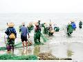 阳江海上旅游活动——渔家乐简介及价格