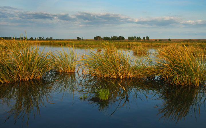 哈尔滨白渔泡国家湿地公园