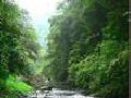 贺州滑水冲自然保护区――植物3