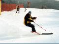 滑雪场教练特技表演