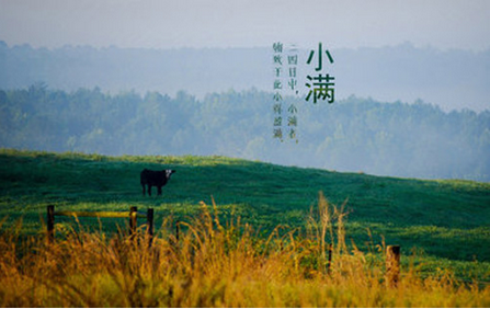 小满节气养生要注意什么