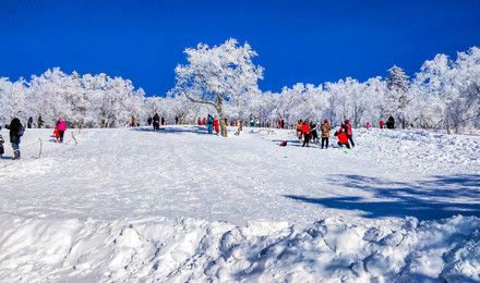 哈尔滨亚布力滑雪场介绍_亚布力好玩吗