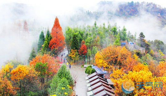 11月下旬去湖南张家界旅游路线 张家界11月旅游攻略行程安排3