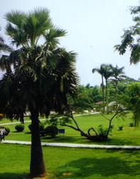 南亚热带植物园