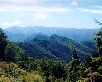 老县城自然保护区