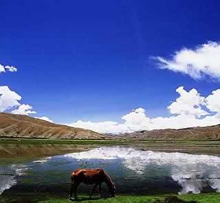 西藏聂拉木县