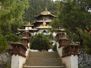 西藏布久喇嘛林寺