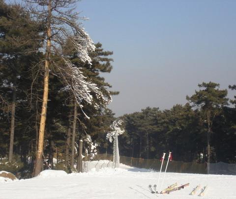 沈阳棋盘山滑雪4
